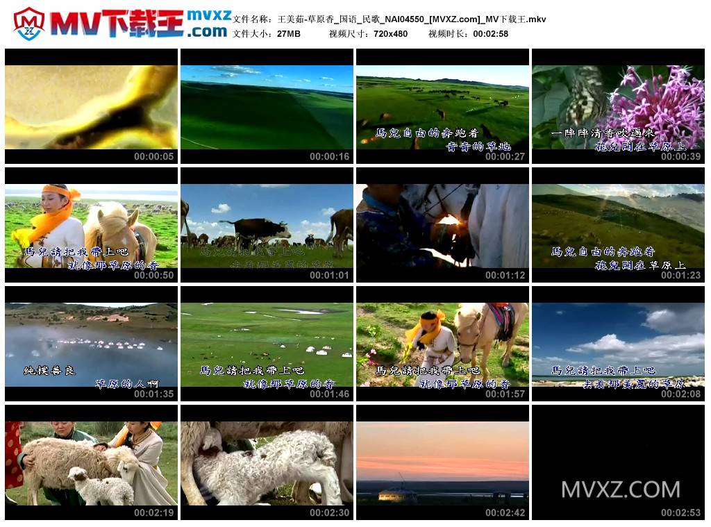 王美茹-草原香_国语_民歌_NAI04550